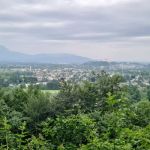 Img 20230704 Wa0008