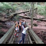 Img 20230704 Wa0011