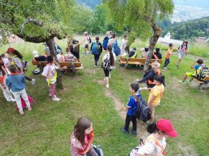 Img 20230627 Wa0012