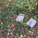 img-20241119-wa0009