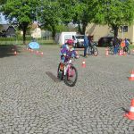 IMG 0310