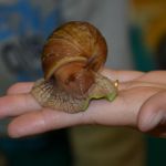 DSC 0104