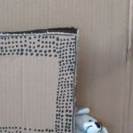 IMG 4158
