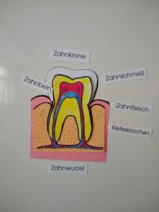 Img 20190226 104626354